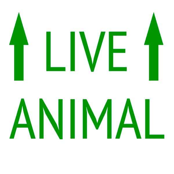 live_animal